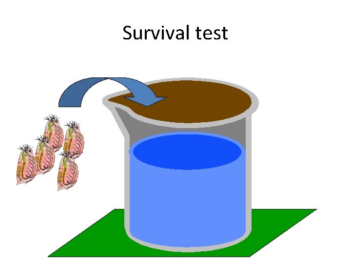 Survival test 