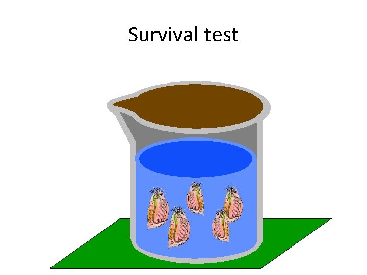 Survival test 