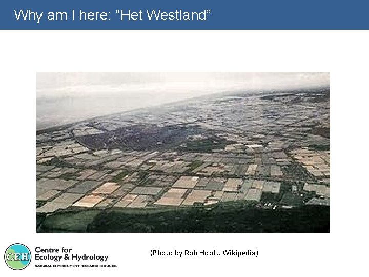 Why am I here: “Het Westland” (Photo by Rob Hooft, Wikipedia) 