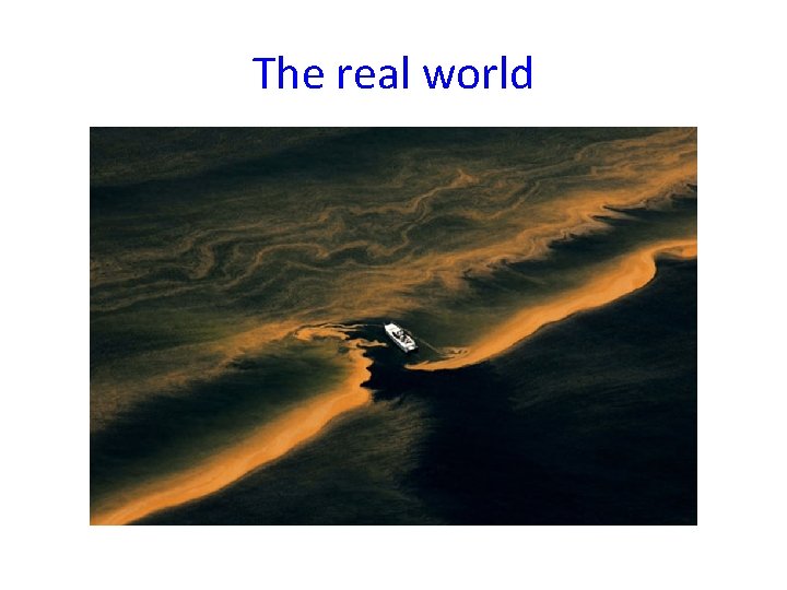 The real world 