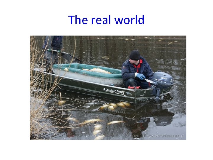The real world 
