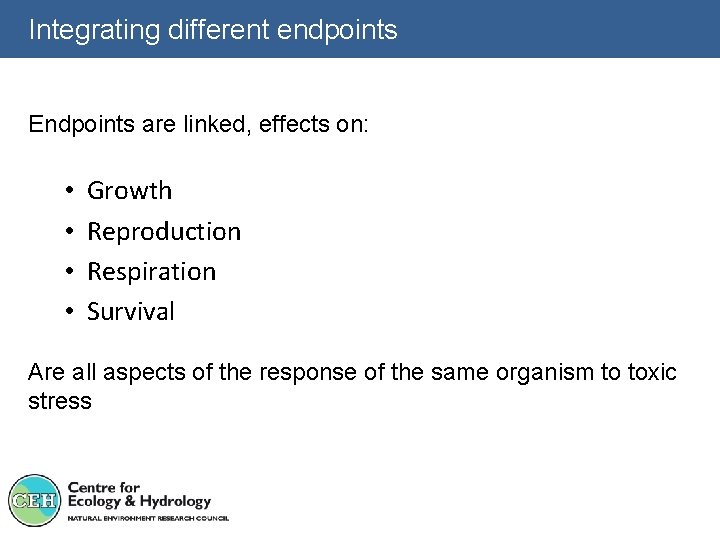 Integrating different endpoints Endpoints are linked, effects on: • • Growth Reproduction Respiration Survival