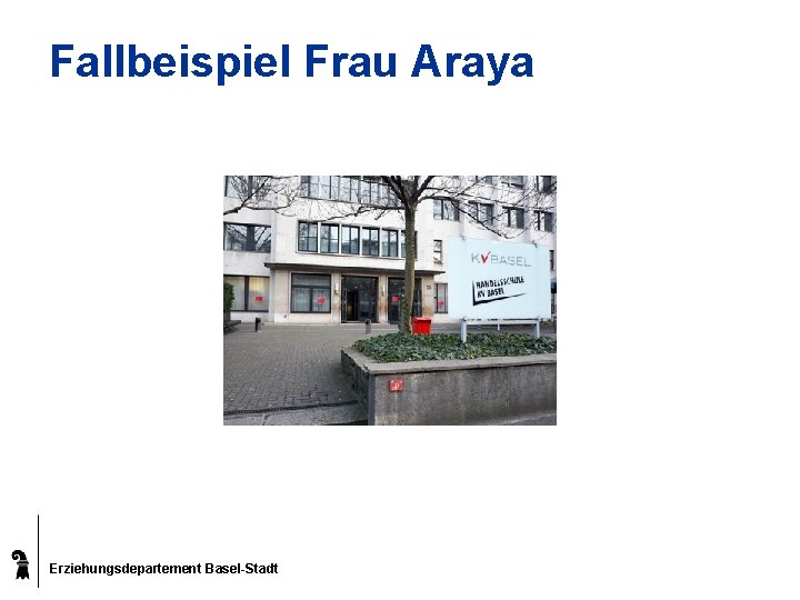 Fallbeispiel Frau Araya Erziehungsdepartement Basel-Stadt 