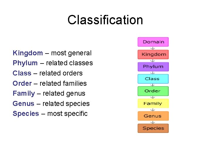 Classification Kingdom – most general Phylum – related classes Class – related orders Order