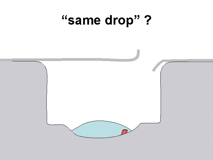 “same drop” ? 