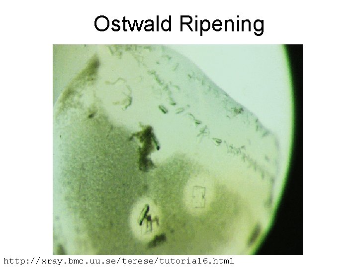 Ostwald Ripening http: //xray. bmc. uu. se/terese/tutorial 6. html 