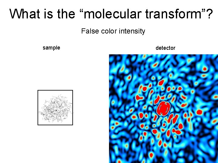 What is the “molecular transform”? False color intensity sample detector 