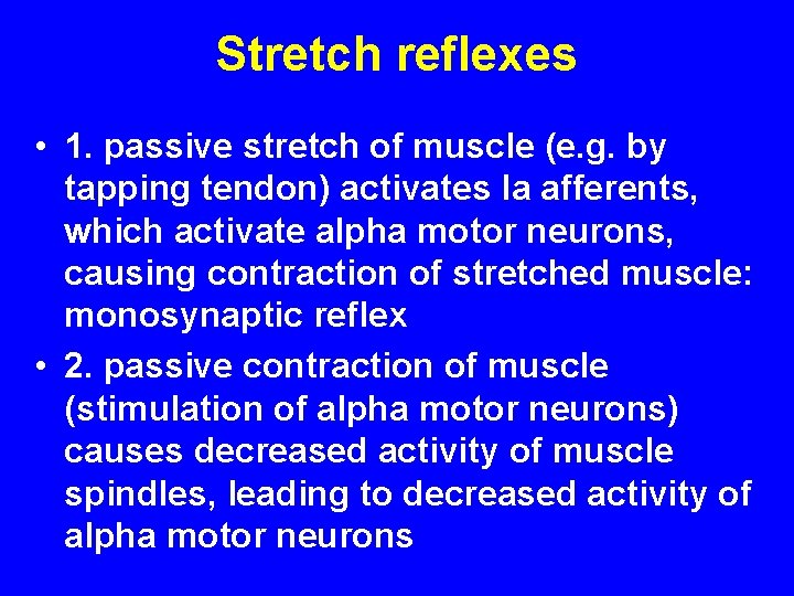 Stretch reflexes • 1. passive stretch of muscle (e. g. by tapping tendon) activates