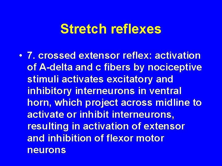 Stretch reflexes • 7. crossed extensor reflex: activation of A-delta and c fibers by