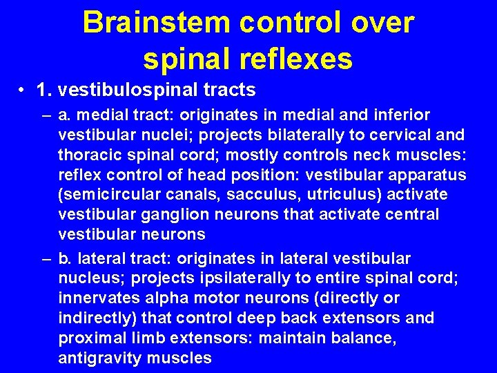 Brainstem control over spinal reflexes • 1. vestibulospinal tracts – a. medial tract: originates