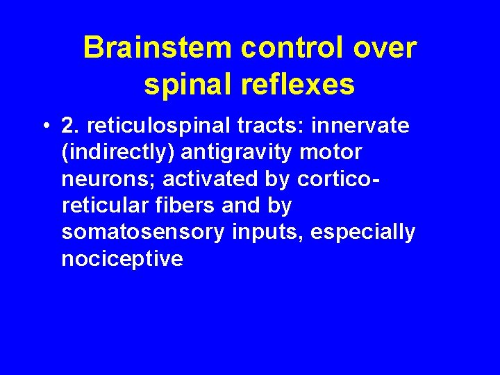 Brainstem control over spinal reflexes • 2. reticulospinal tracts: innervate (indirectly) antigravity motor neurons;