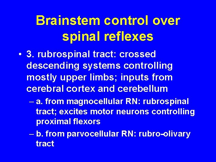 Brainstem control over spinal reflexes • 3. rubrospinal tract: crossed descending systems controlling mostly