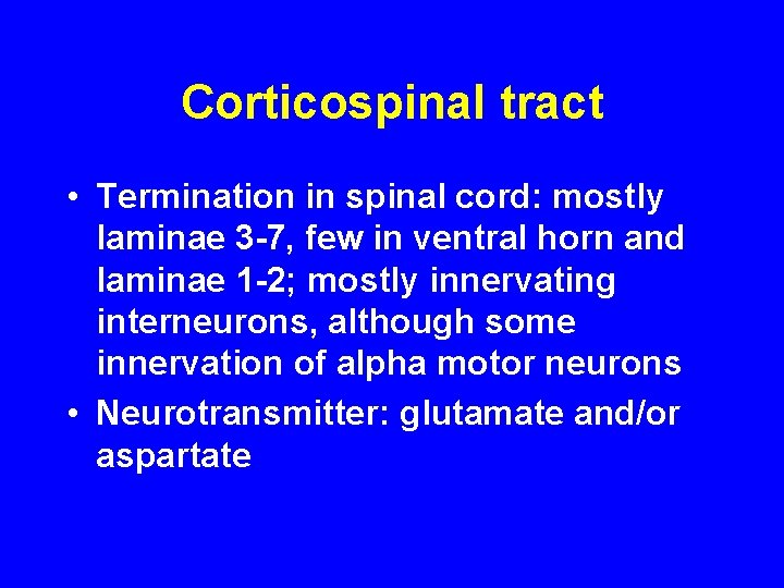 Corticospinal tract • Termination in spinal cord: mostly laminae 3 -7, few in ventral