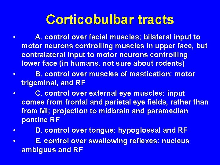 Corticobulbar tracts • • • A. control over facial muscles; bilateral input to motor