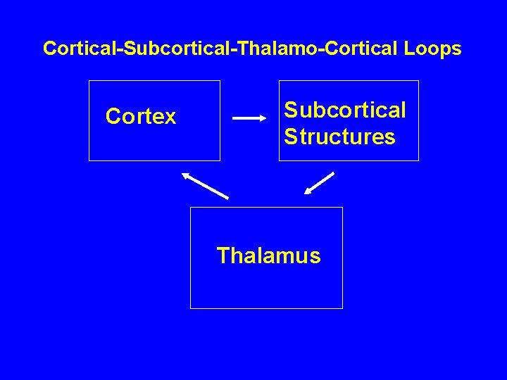 Cortical-Subcortical-Thalamo-Cortical Loops Cortex Subcortical Structures Thalamus 