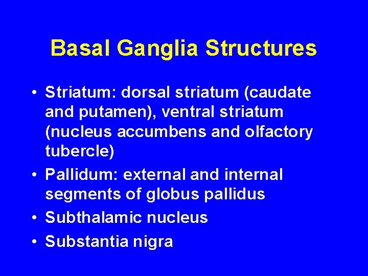 Basal Ganglia Structures • Striatum: dorsal striatum (caudate and putamen), ventral striatum (nucleus accumbens