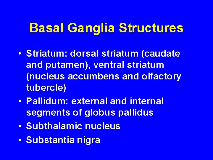 Basal Ganglia Structures • Striatum: dorsal striatum (caudate and putamen), ventral striatum (nucleus accumbens