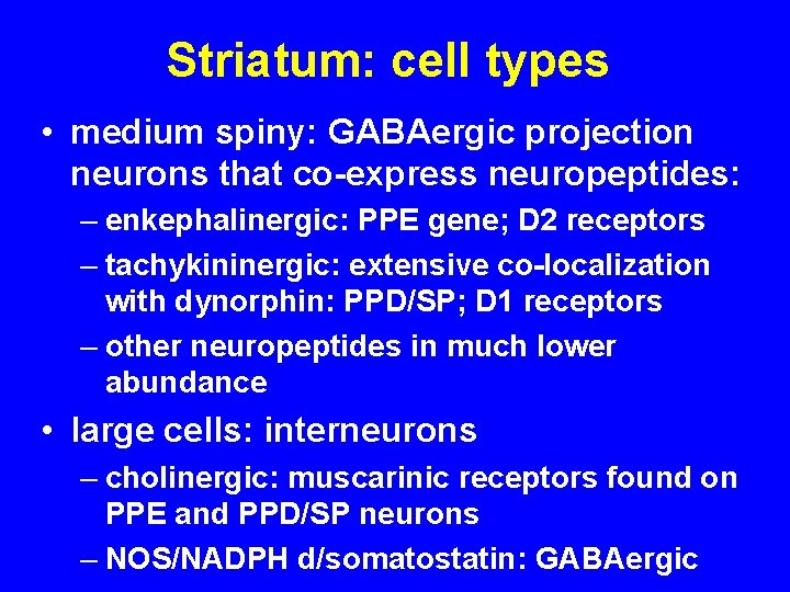 Striatum: cell types • medium spiny: GABAergic projection neurons that co-express neuropeptides: – enkephalinergic: