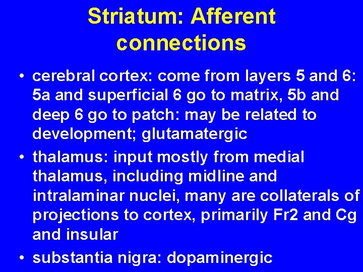 Striatum: Afferent connections • cerebral cortex: come from layers 5 and 6: 5 a