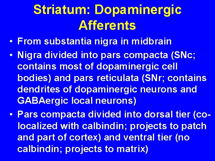 Striatum: Dopaminergic Afferents • From substantia nigra in midbrain • Nigra divided into pars