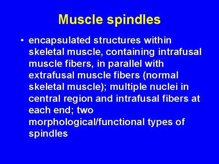 Muscle spindles • encapsulated structures within skeletal muscle, containing intrafusal muscle fibers, in parallel