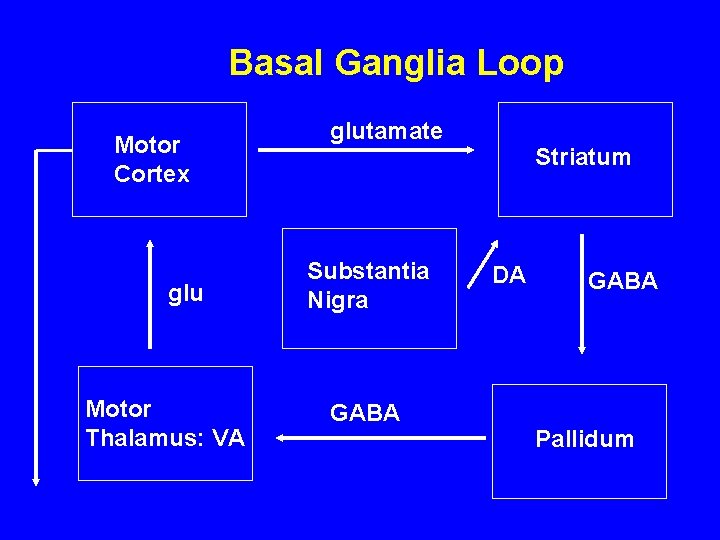 Basal Ganglia Loop Motor Cortex glu Motor Thalamus: VA glutamate Substantia Nigra GABA Striatum