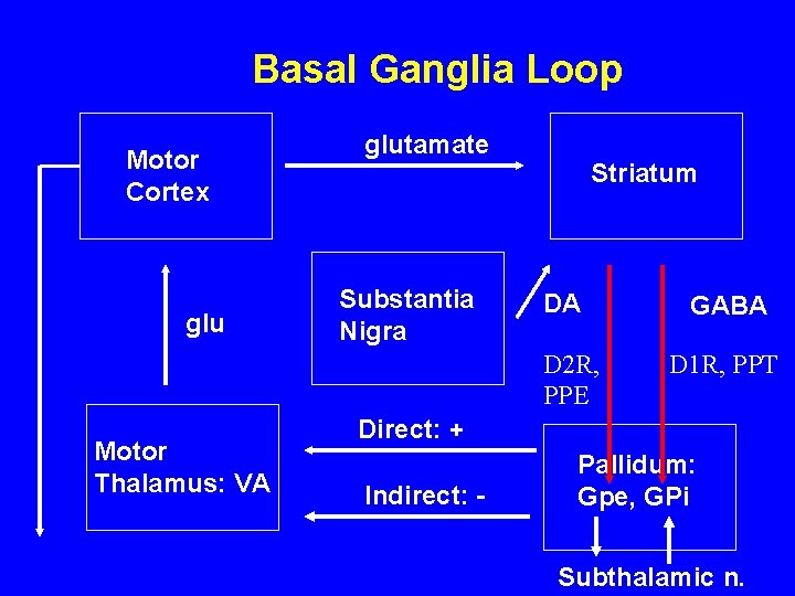 Basal Ganglia Loop Motor Cortex glutamate Substantia Nigra Striatum DA D 2 R, PPE