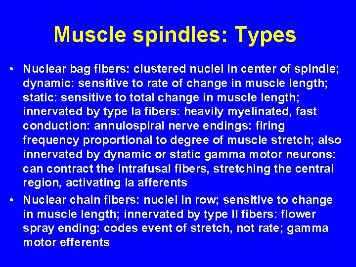 Muscle spindles: Types • Nuclear bag fibers: clustered nuclei in center of spindle; dynamic: