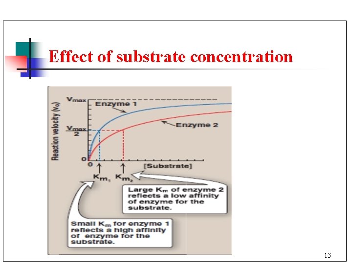 Effect of substrate concentration 13 