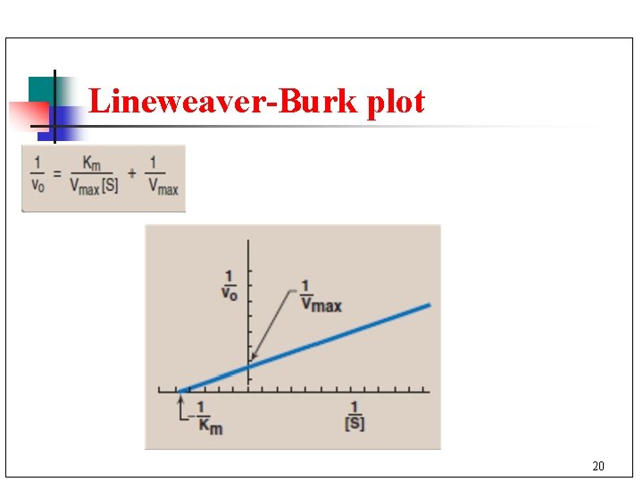 Lineweaver-Burk plot 20 