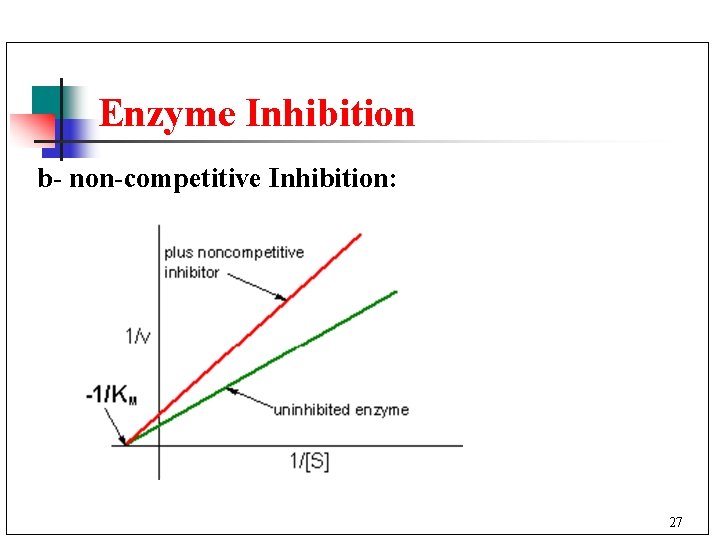 Enzyme Inhibition b- non-competitive Inhibition: 27 