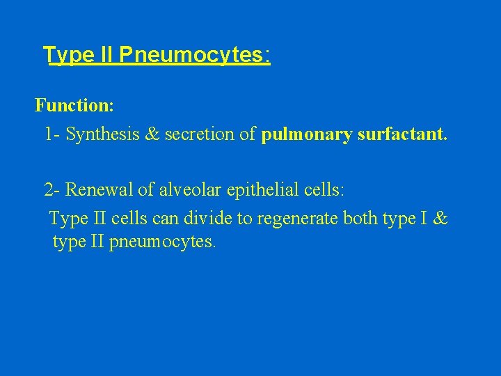 Type II Pneumocytes: Function: 1 - Synthesis & secretion of pulmonary surfactant. 2 -