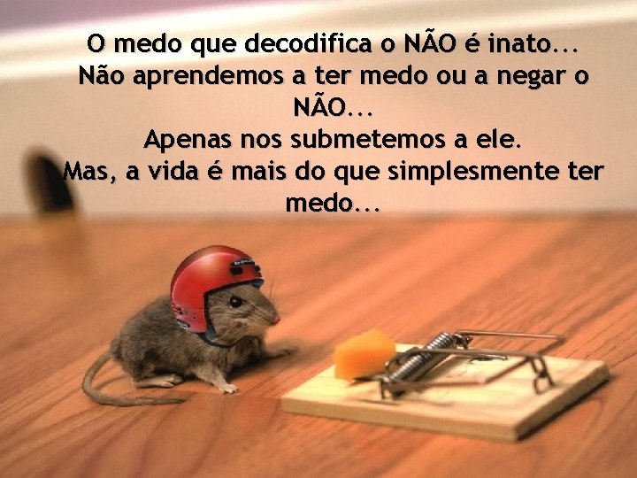 O medo que decodifica o NÃO é inato. . . Não aprendemos a ter