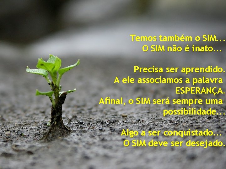 Temos também o SIM. . . O SIM não é inato. . . Precisa