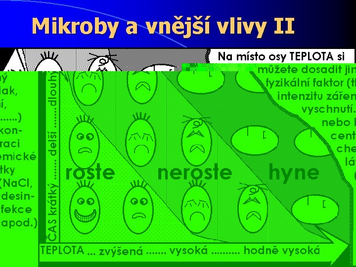 Mikroby a vnější vlivy II 