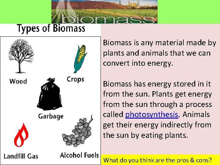 Biomass is any material made by plants and animals that we can convert into