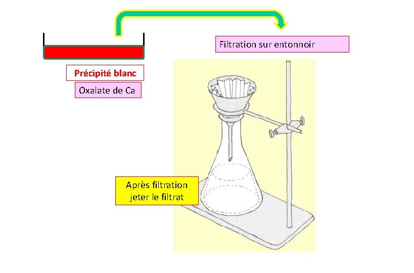 Filtration sur entonnoir Précipité blanc Oxalate de Ca Après filtration jeter le filtrat 