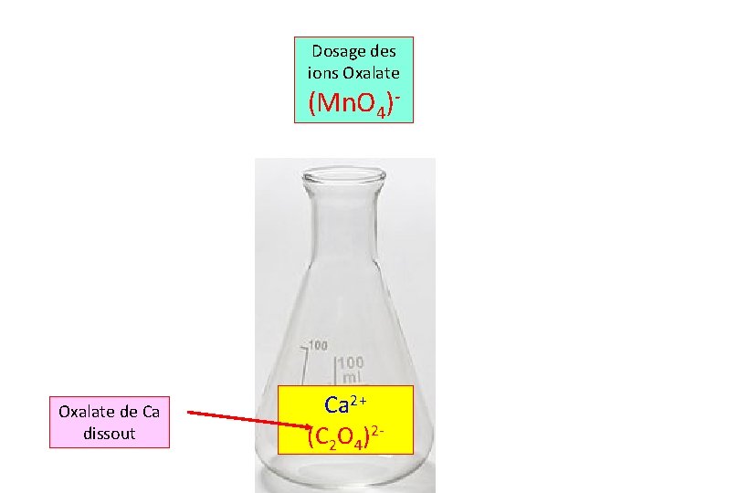 Dosage des ions Oxalate (Mn. O 4)- Oxalate de Ca dissout Ca 2+ (C