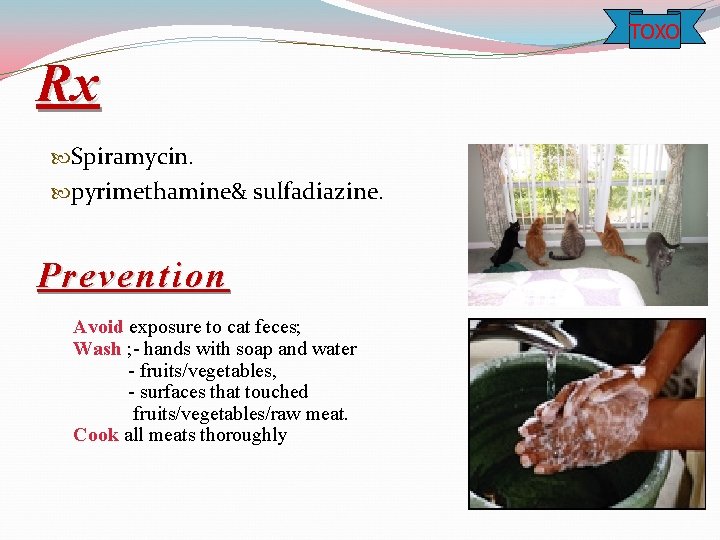 TOXO Rx Spiramycin. pyrimethamine& sulfadiazine. Prevention Avoid exposure to cat feces; Wash ; -