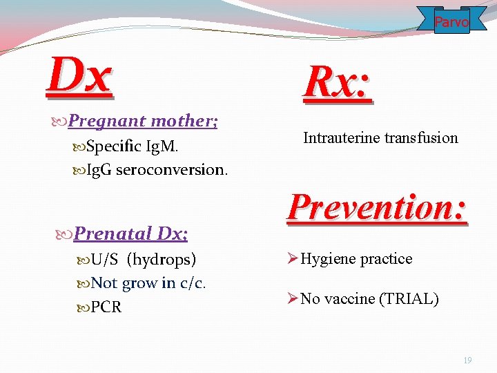 Parvo Dx Rx: Pregnant mother; Specific Ig. M. Ig. G seroconversion. Intrauterine transfusion Prenatal