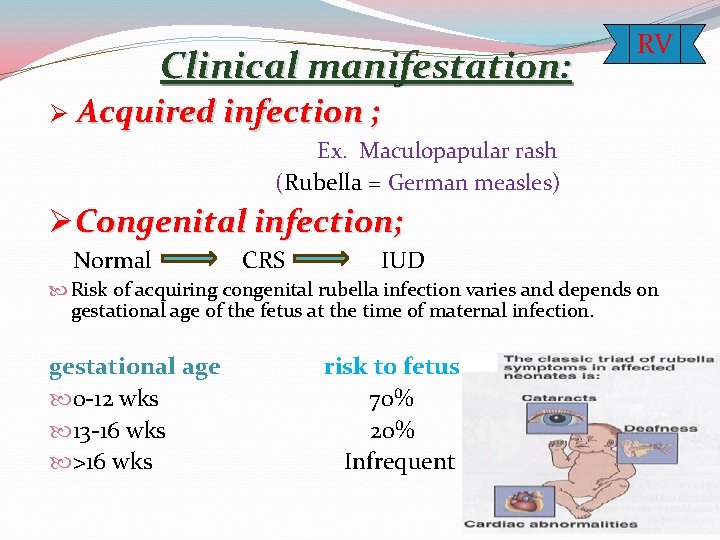 Clinical manifestation: Ø RV Acquired infection ; Ex. Maculopapular rash (Rubella = German measles)