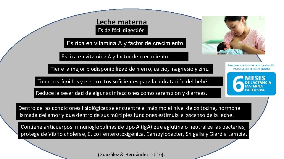 Leche materna Es de fácil digestión Es rica en vitamina A y factor de