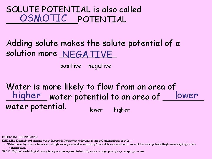 SOLUTE POTENTIAL is also called OSMOTIC _______POTENTIAL Adding solute makes the solute potential of