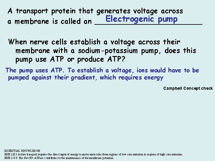 A transport protein that generates voltage across Electrogenic pump a membrane is called an