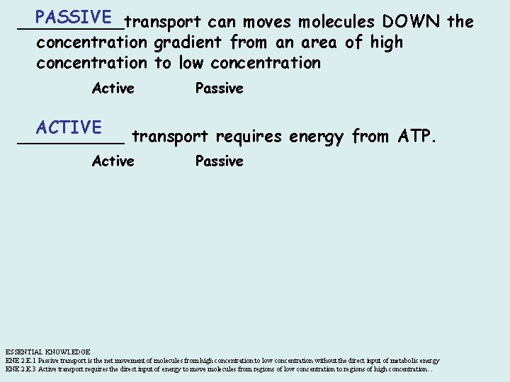 PASSIVE _____transport can moves molecules DOWN the concentration gradient from an area of high