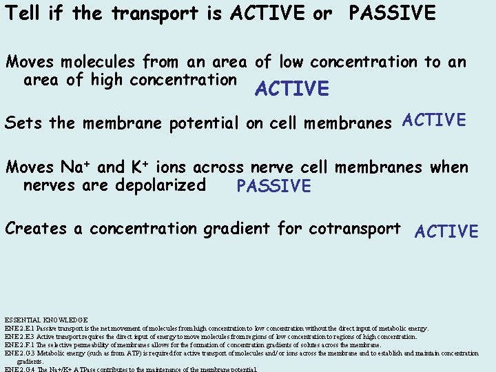 Tell if the transport is ACTIVE or PASSIVE Moves molecules from an area of