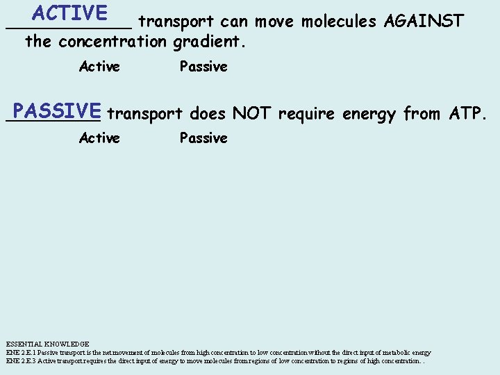 ACTIVE ______ transport can move molecules AGAINST the concentration gradient. Active Passive PASSIVE transport