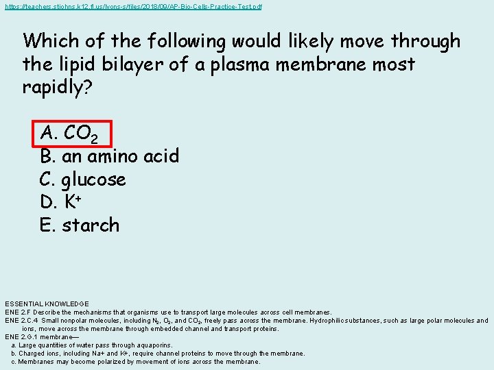 https: //teachers. stjohns. k 12. fl. us/lyons-s/files/2018/09/AP-Bio-Cells-Practice-Test. pdf Which of the following would likely