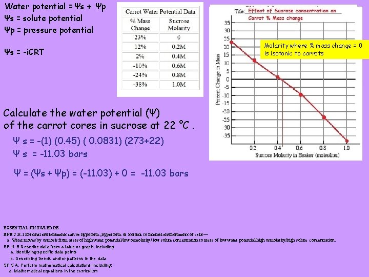 Water potential = Ψs + Ψp Ψs = solute potential Ψp = pressure potential