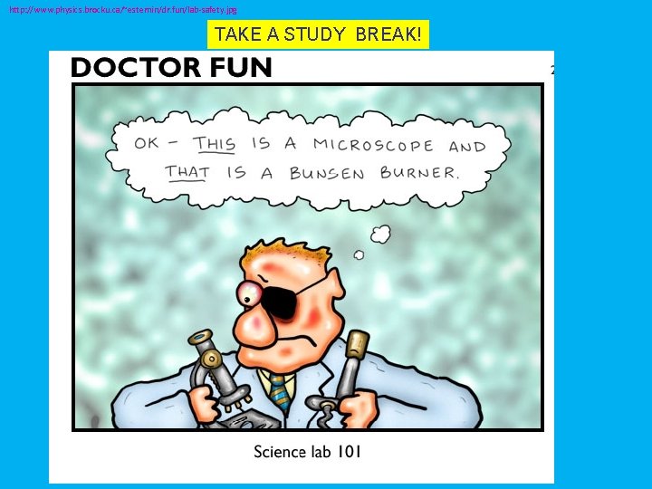 http: //www. physics. brocku. ca/~esternin/dr. fun/lab-safety. jpg TAKE A STUDY BREAK! 